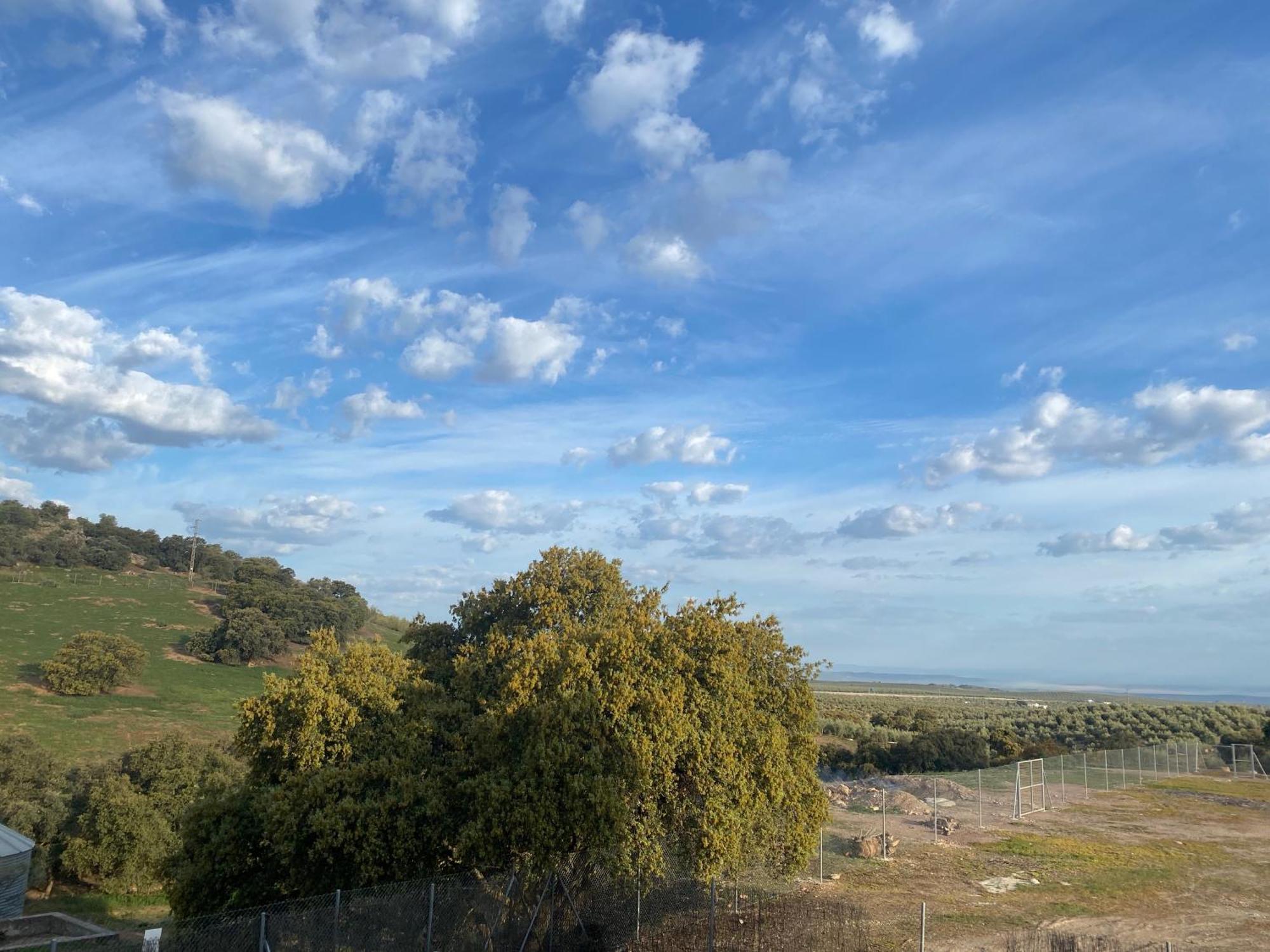 Willa Casa Royal, Mancha Real, Jaen Zewnętrze zdjęcie